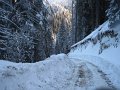 2012-01-07_11-31-37_-rp- IMG_0088